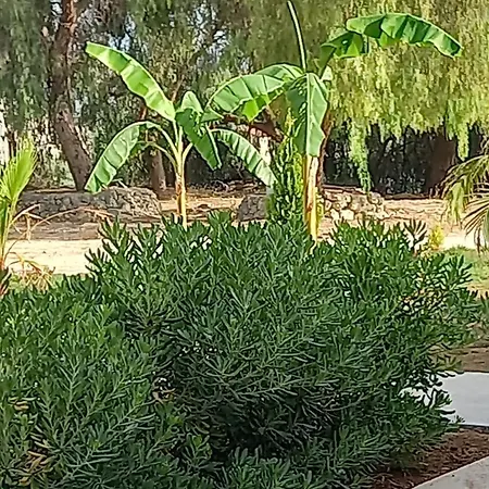 Blu In * بالما دي مونتيكارو