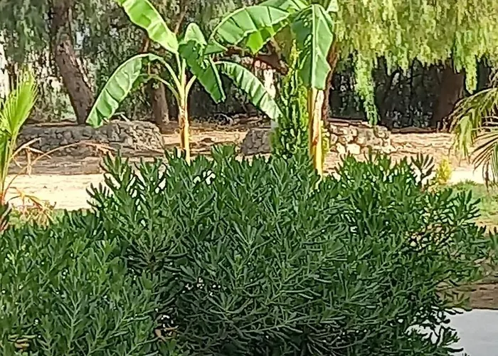 Blu In 3* Пальма-ди-Монтекьяро